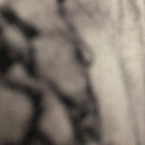 Meet your Posher, Dylan